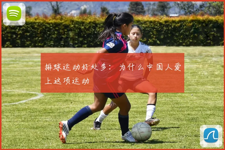 排球运动好处多：为什么中国人爱上这项运动